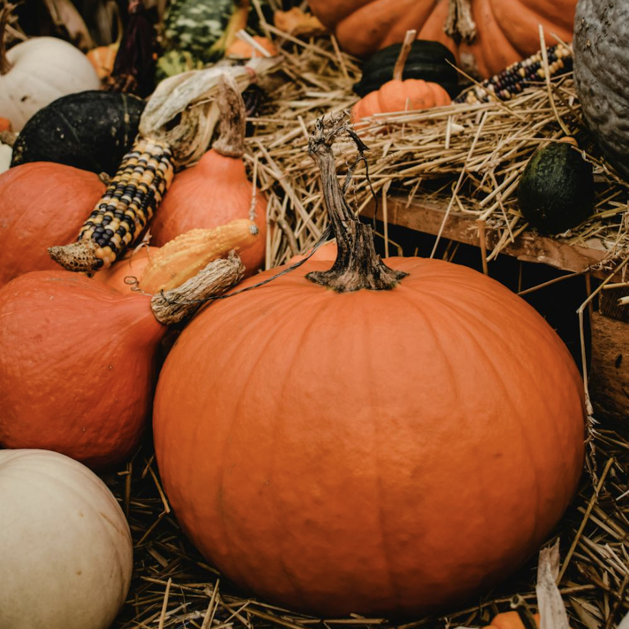 Karszalagok az ősz jegyében: időjárásállóság, strapabíróság